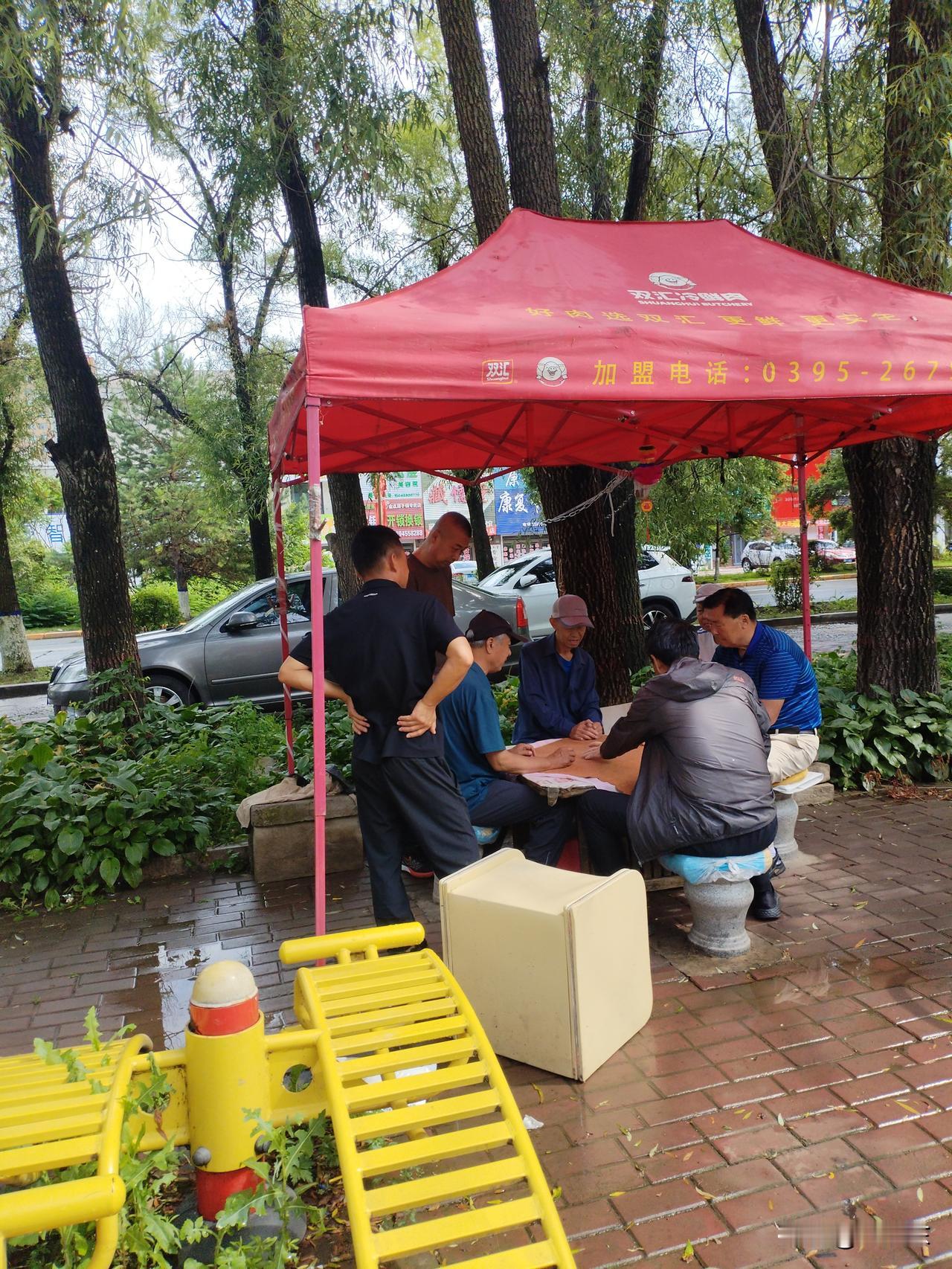 桥牌乐
雨后凉棚打桥牌，
三五成群围过来。
谁输谁赢且不论，
请续句……
（笑声