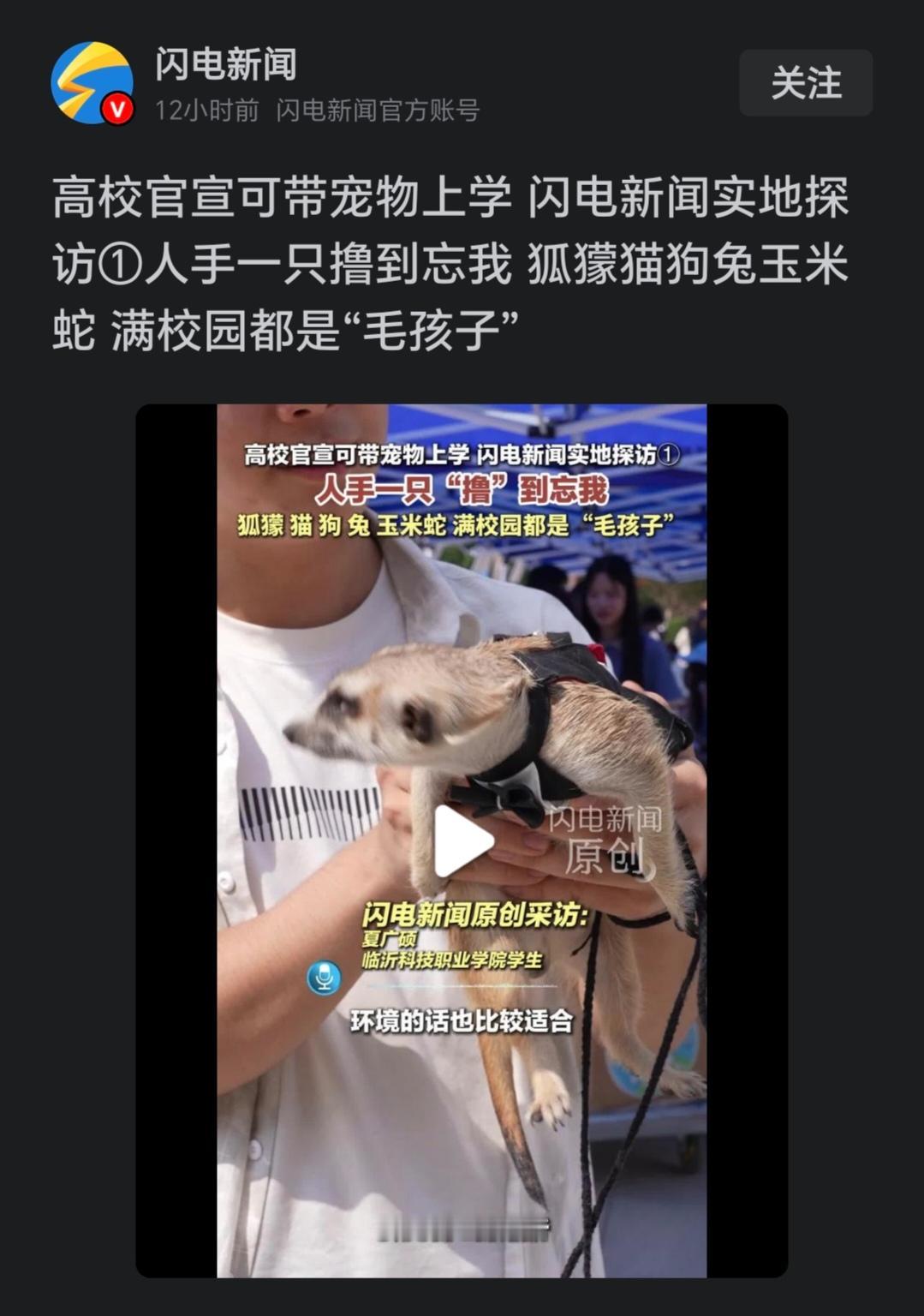 西方文化渗透与国内宠物资本相互配合，让宠物进校园，说明在利益面前，他们已经不再顾