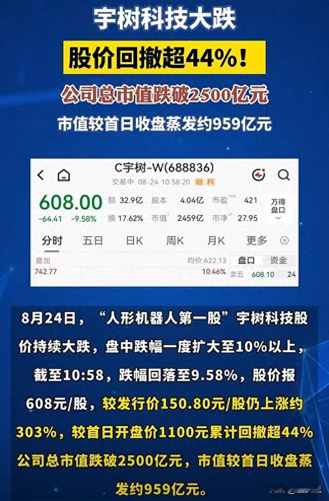 宇树科技，为何“跌跌不休”？