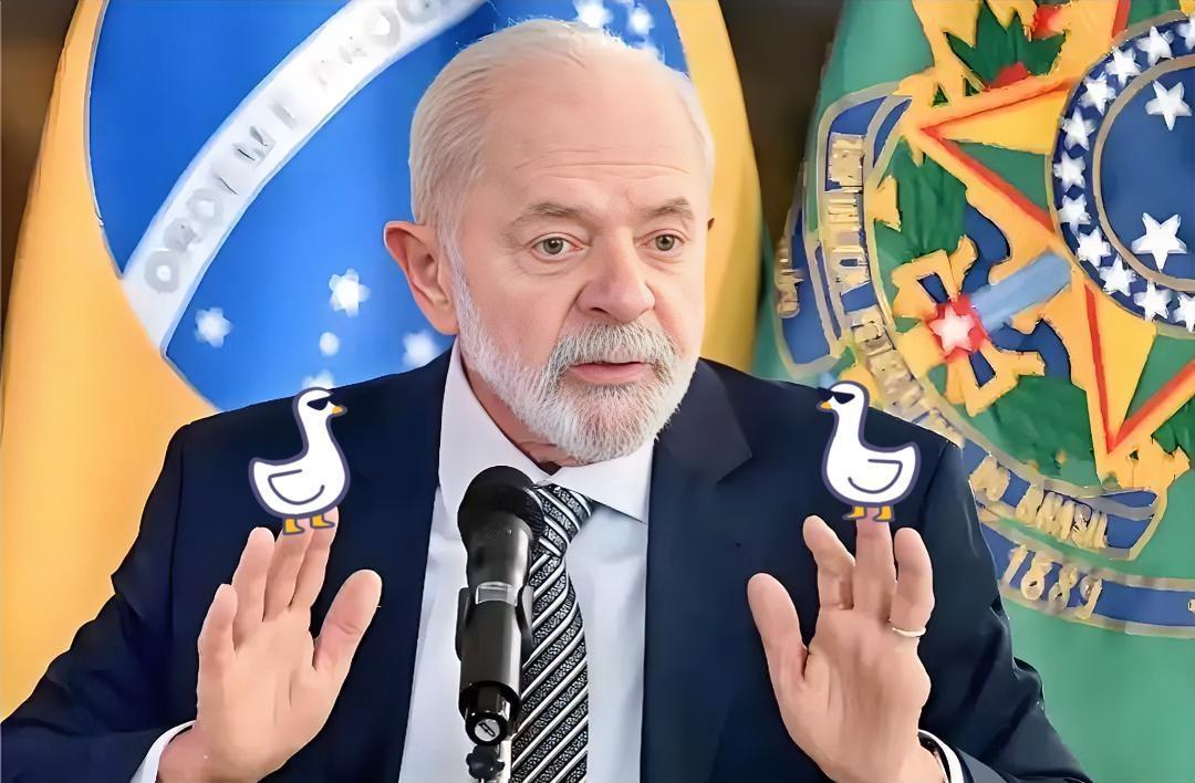 果然被我猜中了！
10月30日，巴西官方宣布一项重要贸易举措：对原产于中国、埃及