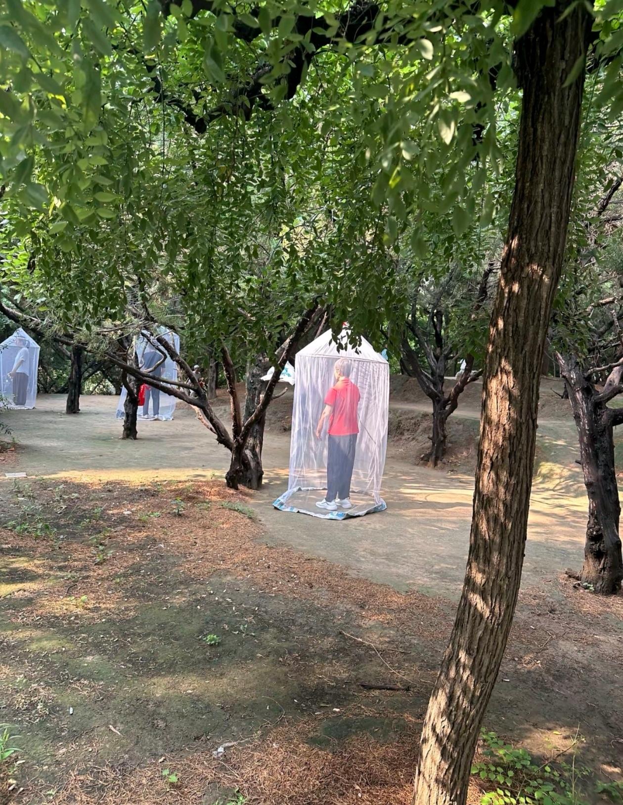 这些大妈们在公园里干什么呢？ 
和大学的朋友闲聊时，她发来一张照片，让我猜猜她们