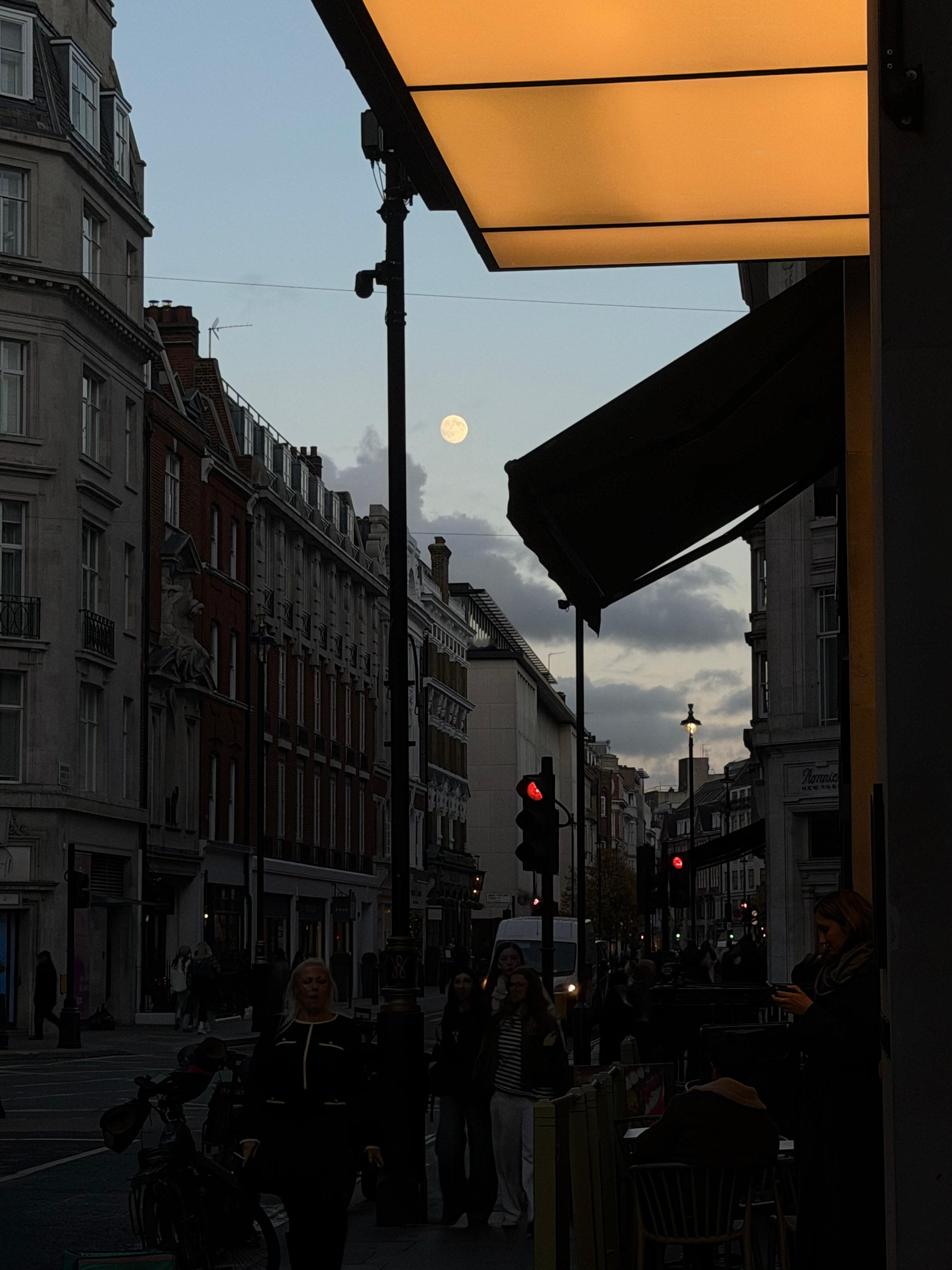 还没有过够秋天 