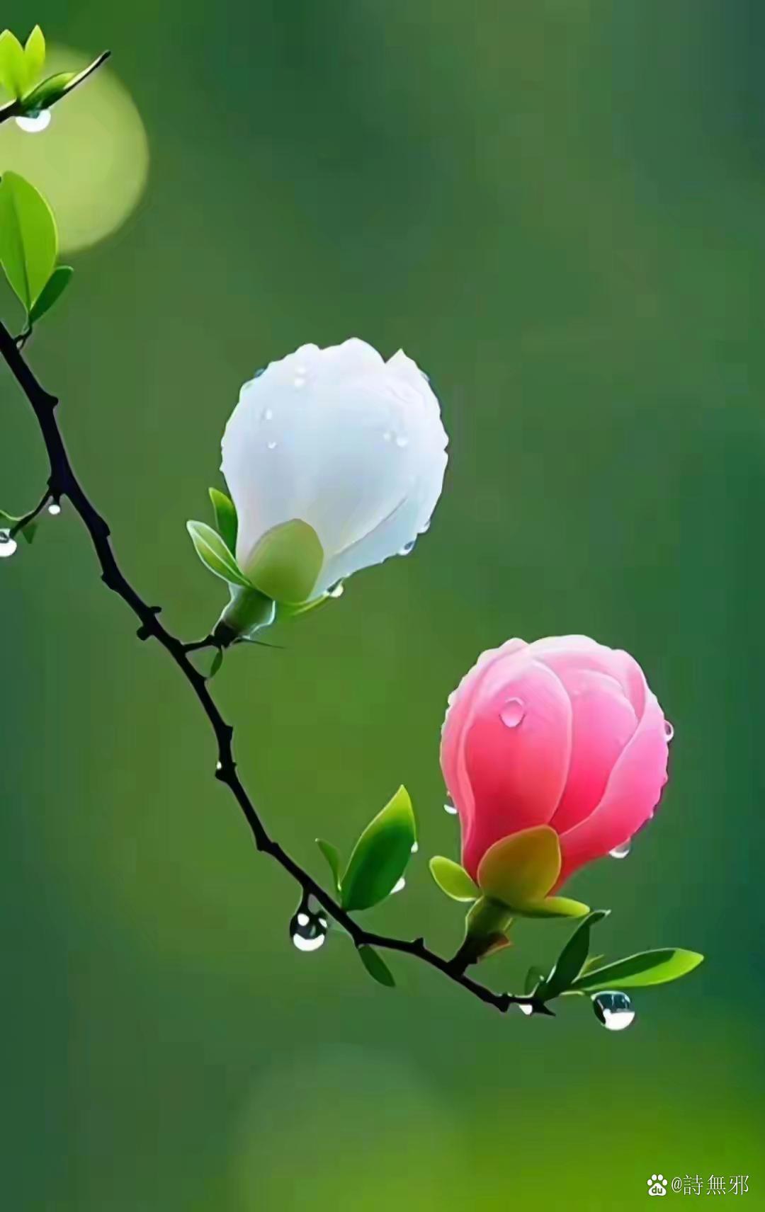 分享一下你随手拍下的照片