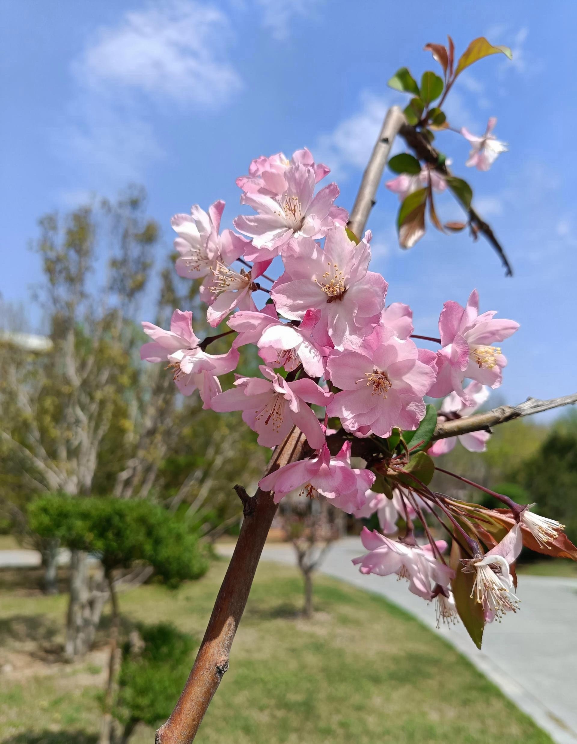 早上好，新的一周开始赚钱！ 