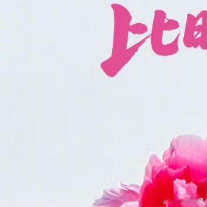 致追光者：在追寻中绽放，于光芒里闪耀。早安☀️😃