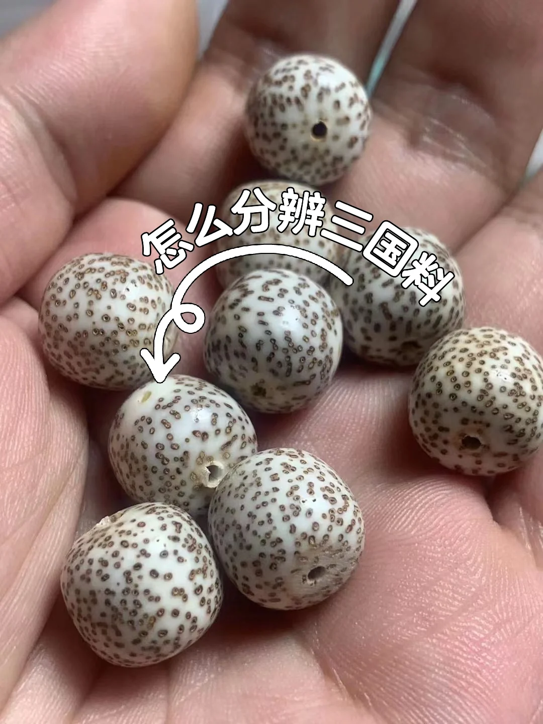 三国料与海南料的深度解析之如何区分