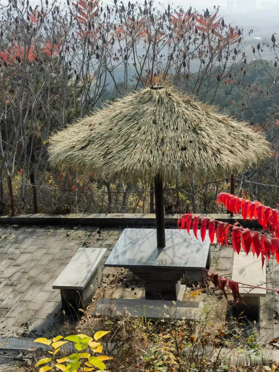 在山间小径上，享受宁静的午后时光。🍃🍂🌳登山后的美景 山间的美丽景色 山中