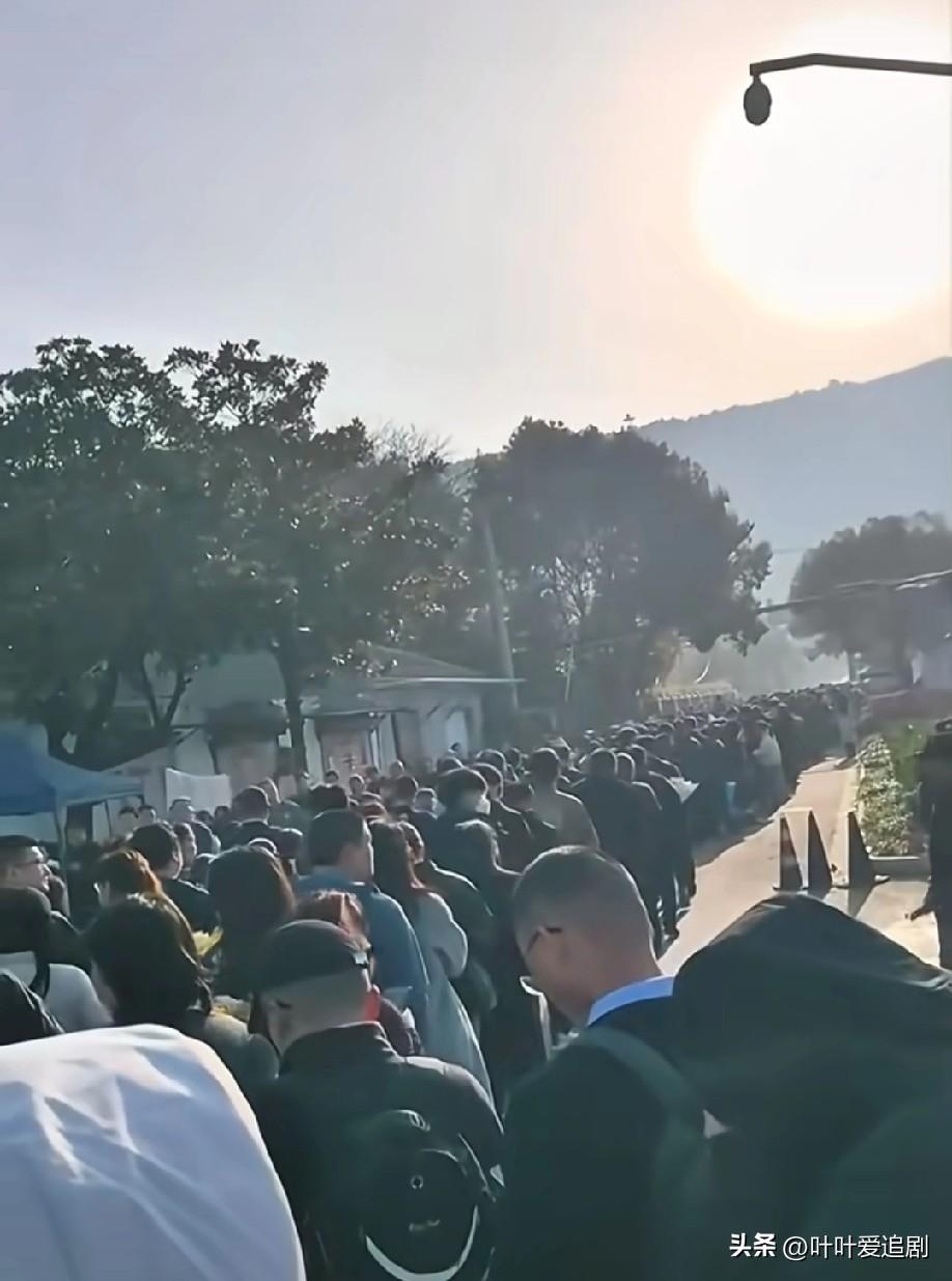 果然姜还是老的辣
我问我爸：张老师一个网红，为什么他走了，这么多普通人去送他？