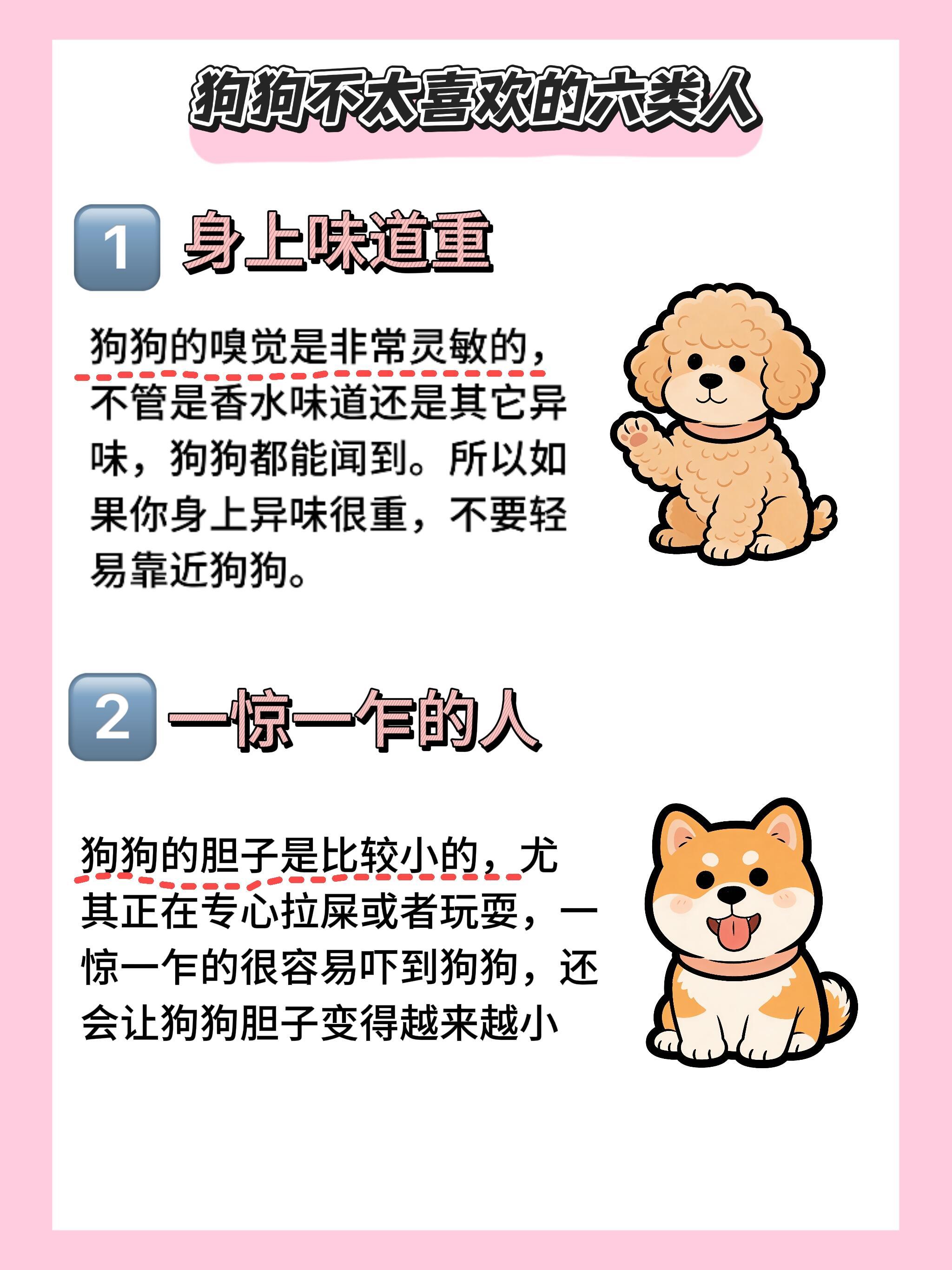 狗狗不喜欢的六类人，快看看是哪些人吧！ 