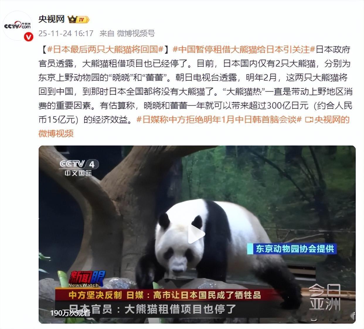 家人们谁懂啊！中日熊猫租借真停了！明年2月，东京上野动物园的“晓晓”和“蕾蕾”就