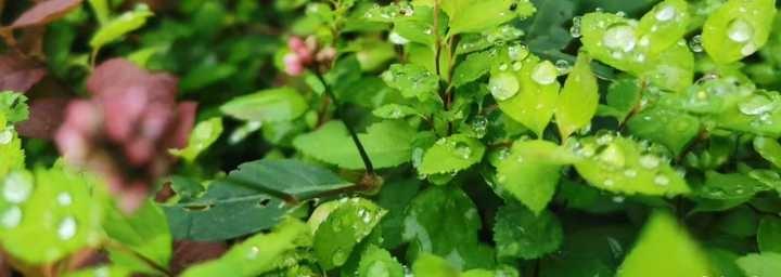 如果你小区搞环保活动，怎样设计你才会愿意参加？
每次看到小区群里通知“环保活动”