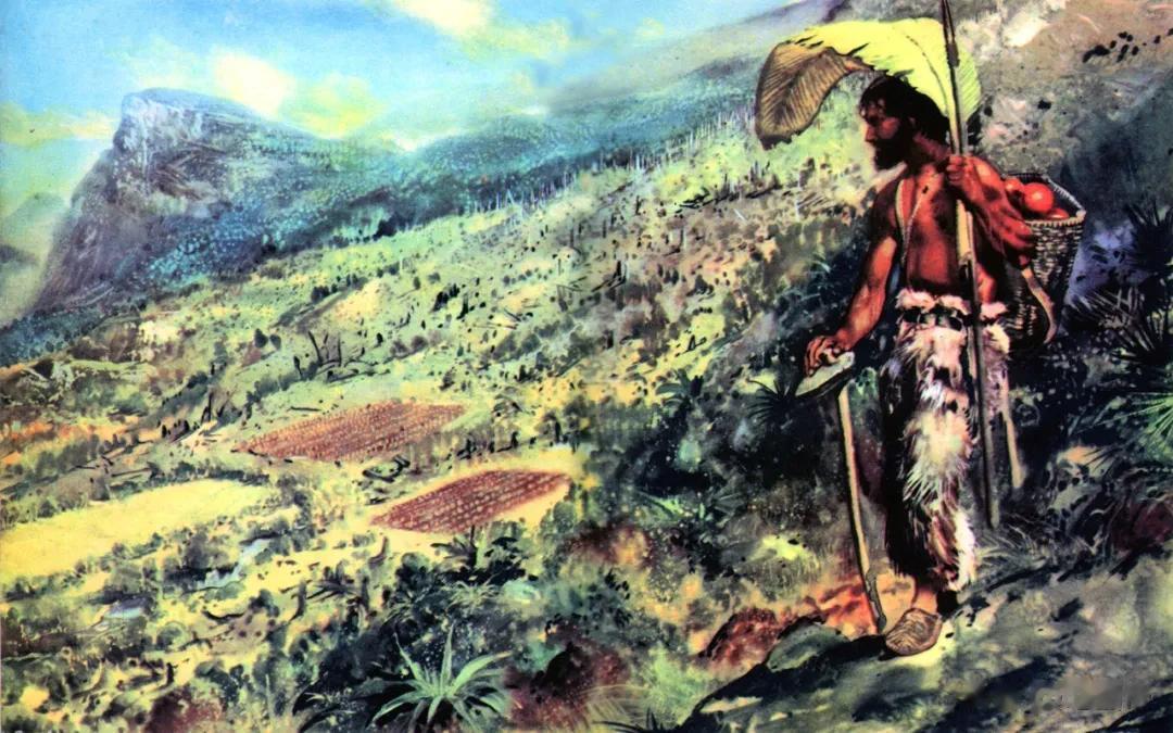 鲁滨逊漂流记，在哪个小岛生活五年？