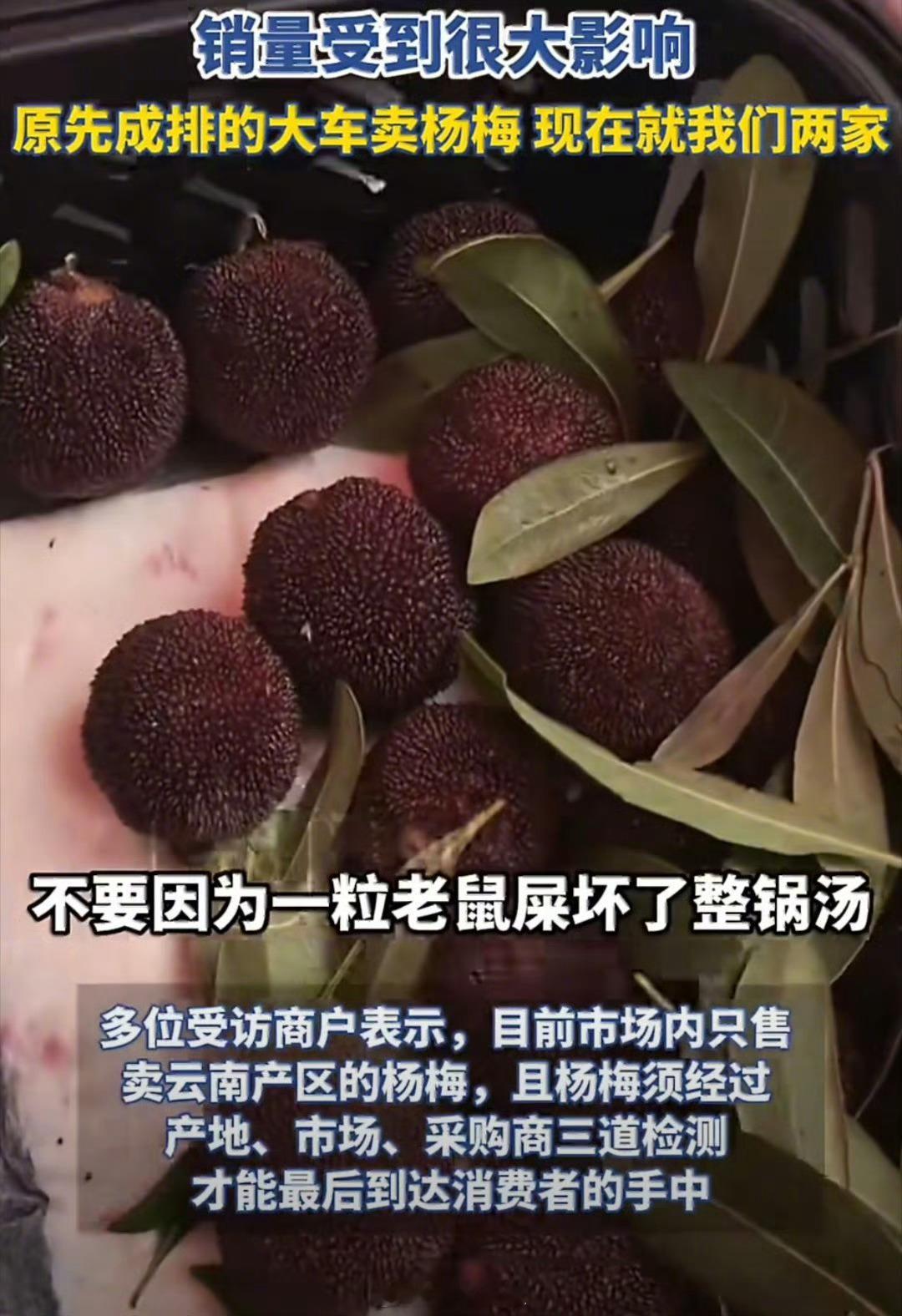 杨梅泡药事件冲击浙江杨梅市场问题是根本分辨不出来，哪些是泡过药的。哪敢吃啊，谁爱