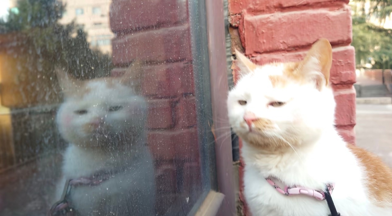 有时候一些组合出国拍的mv呀照片之类的和韩国棚内无差别的时候真的会很生气。我也不