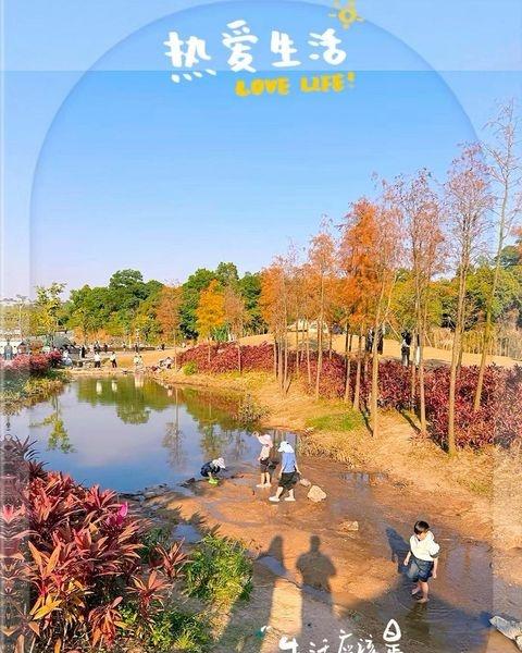 逃离城市喧嚣！中山金钟水库徒步&野餐全攻略
📍中山 

📍坐标：中山市东区街