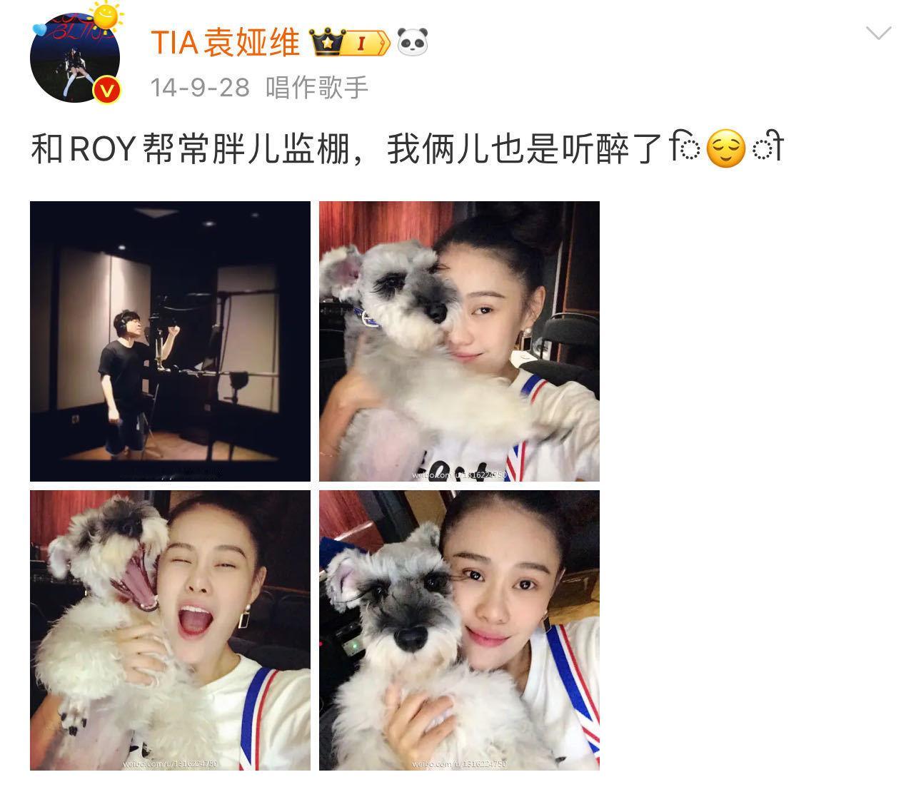 袁娅维的狗见过的明星比我多  看到袁娅维和roy一起工作的画面，真的感觉实在是太