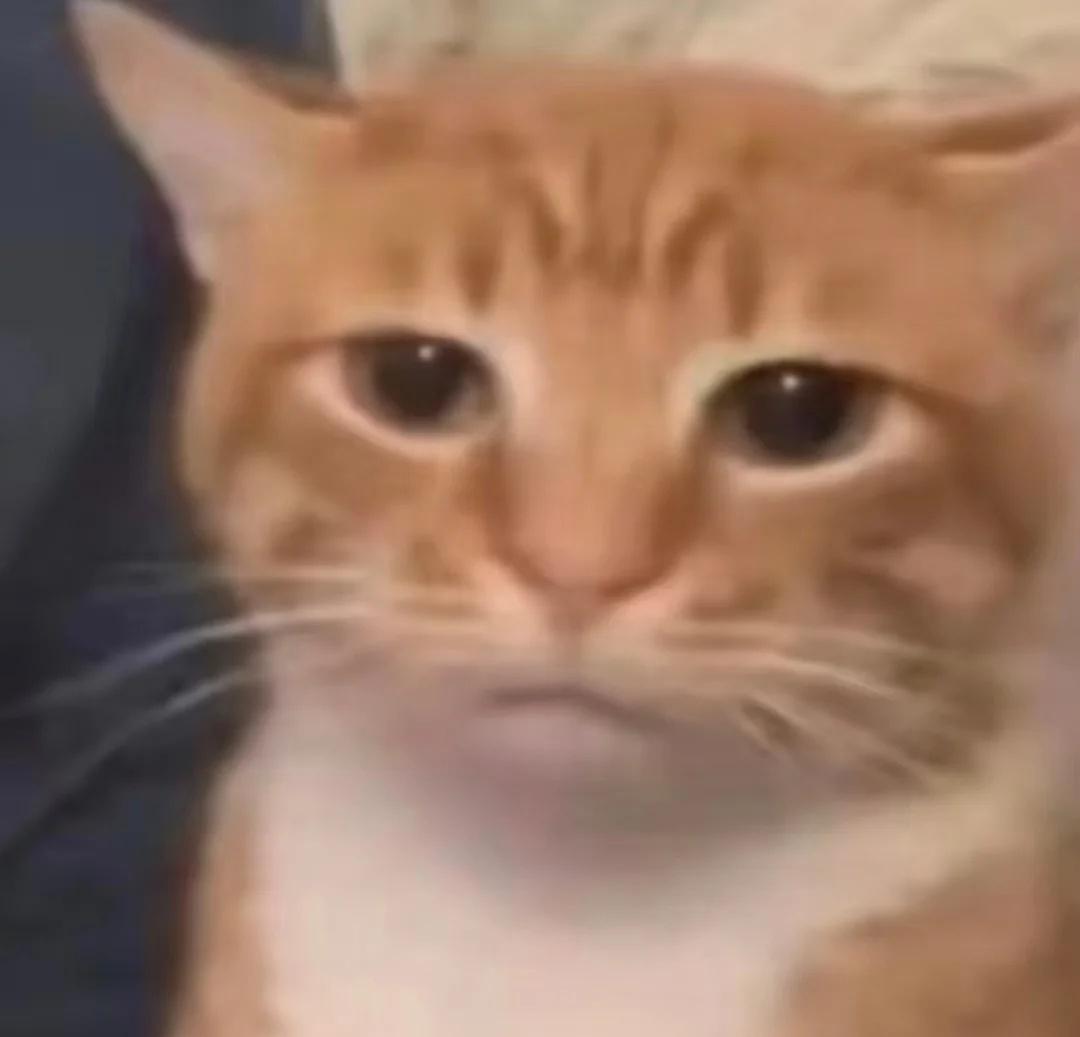 这个像ISTJ的小猫图还有类似的吗
哈哈哈哈本蓝老头刷见了感觉好萌好好玩mbti