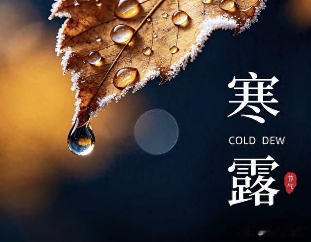 明日寒露，强烈建议中老年：今日早餐多吃这4样，元气满满一整天