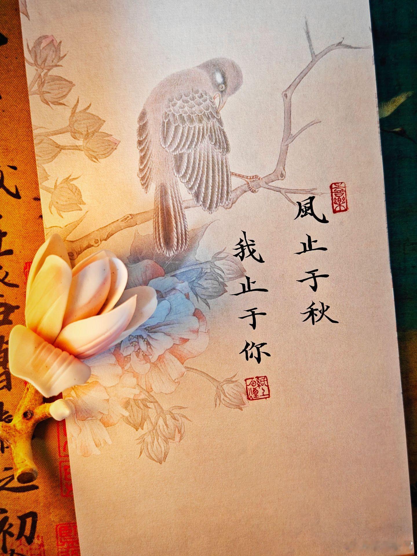 随手拍风止于秋，我止于你。风有归期，止于深秋，漫过山河万里，终寻一处温柔停靠。人