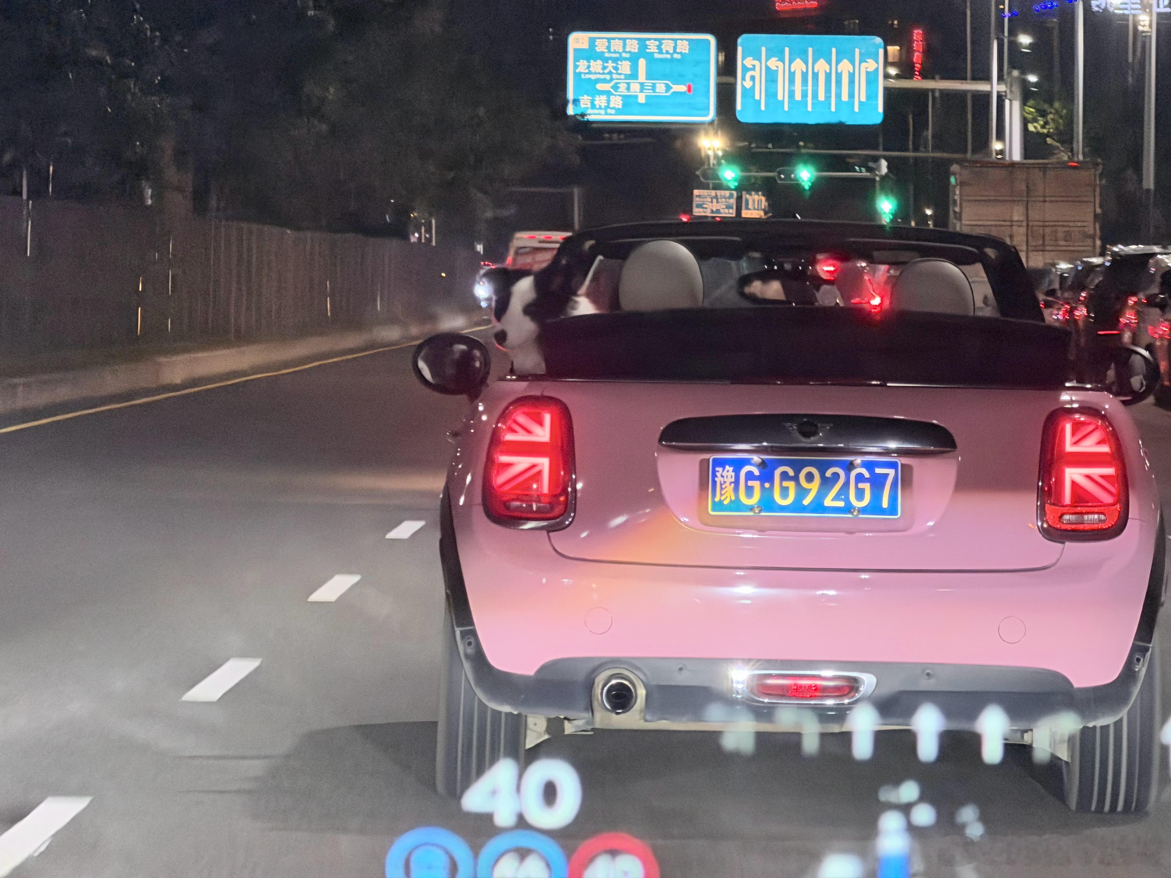 你看我说吧，在深圳就得开敞篷诶，等等，主驾怎么是条狗？ 