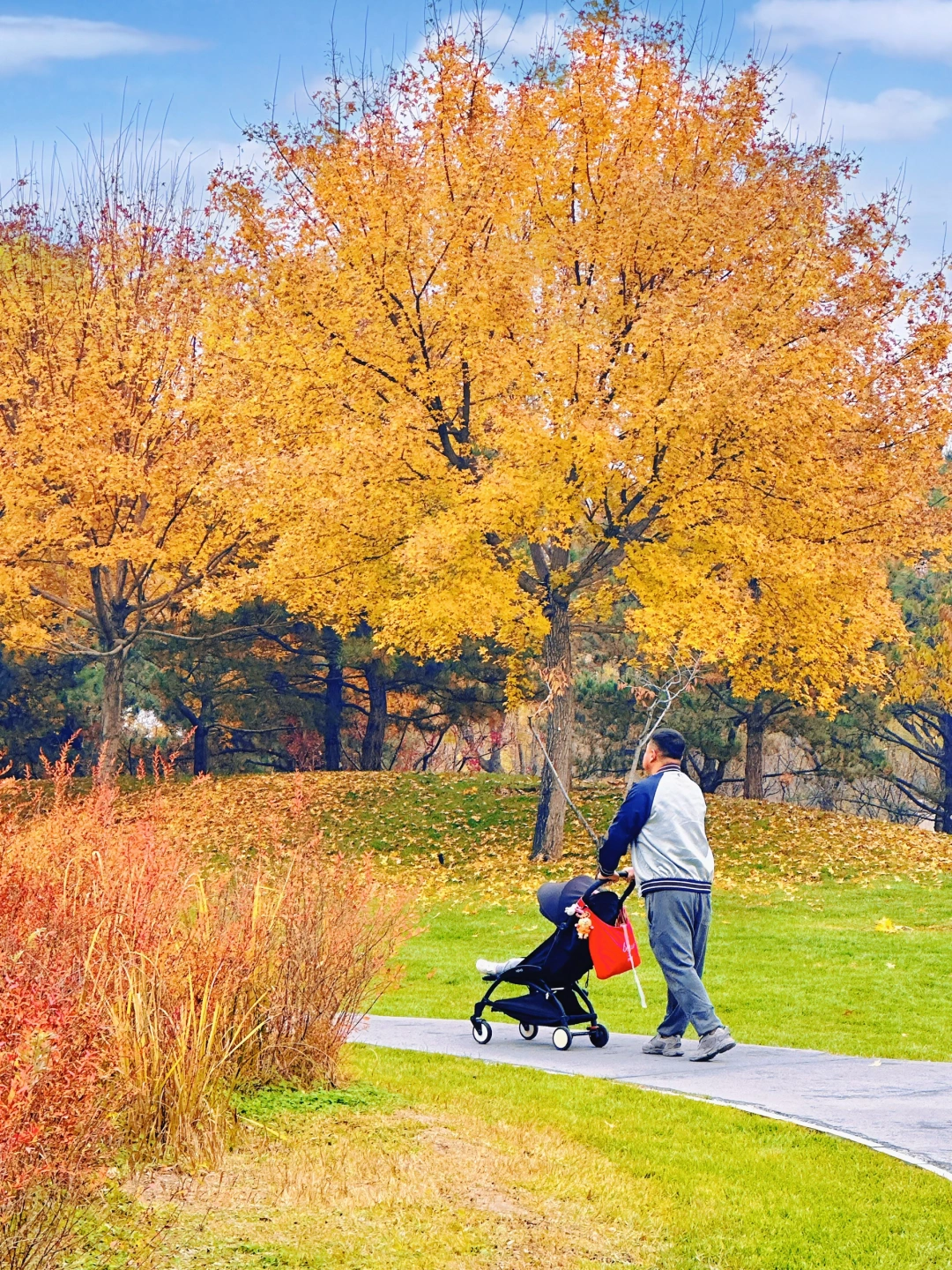 11.6实况播报🍁雁栖湖骑行步道美疯了