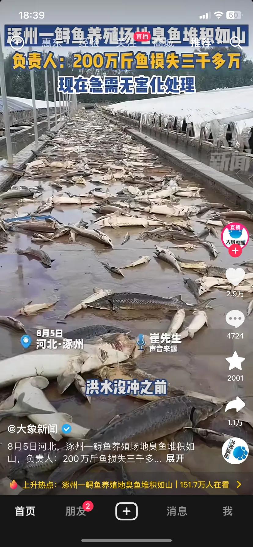 我老公说，好多这做生意种地的，遭这灾了，一辈子都白干