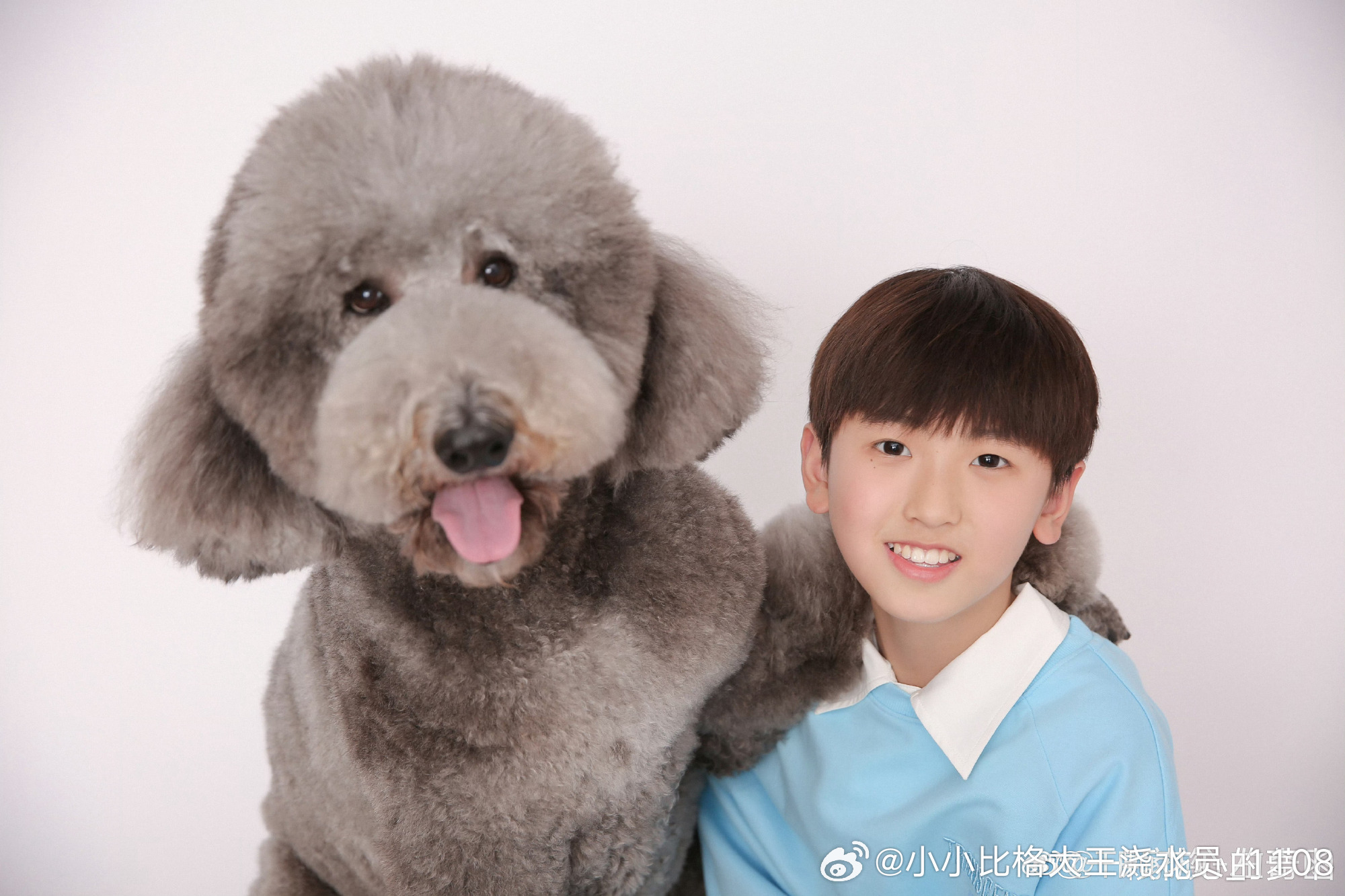 今天这个皮皮一直入侵我的推荐。真的没有人觉得它长得很像林永健吗 