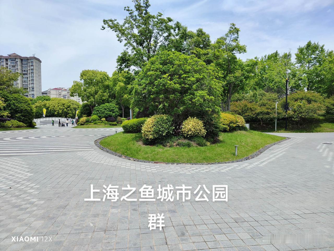 游上海之鱼城市花园群

五月的风裹着花香，吹进了这座藏着浪漫的公园。
​
202