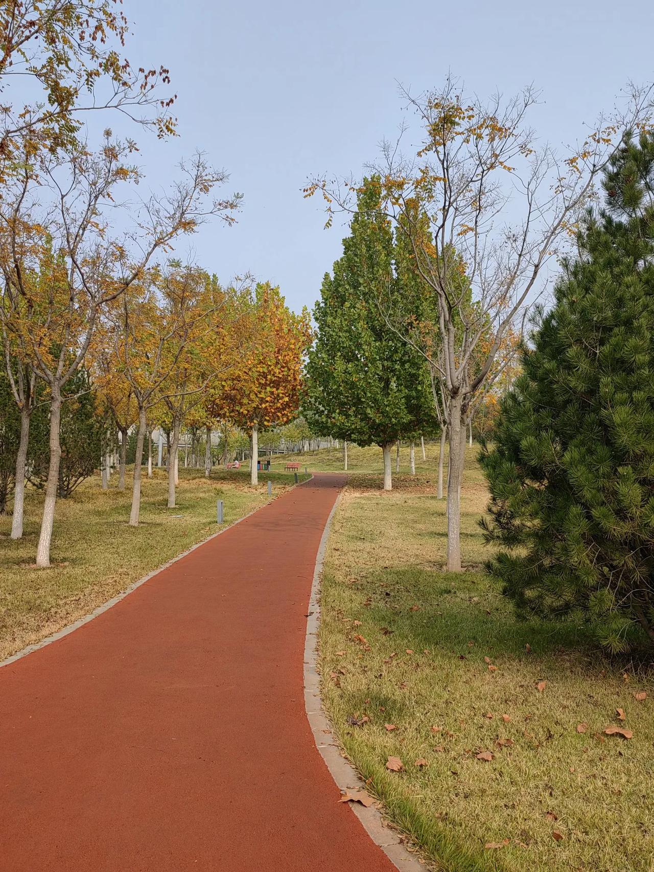 有朋友说在老伴心目中他的儿女比我重要
我和老伴是重组夫妻，我来到这个家的时候儿子