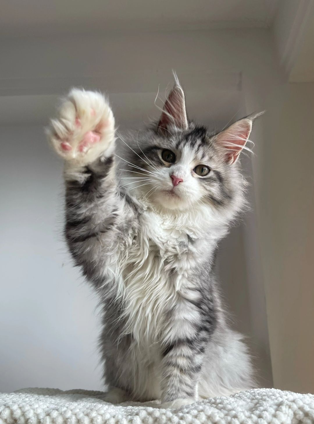 缅因｜年后给你买套衣服