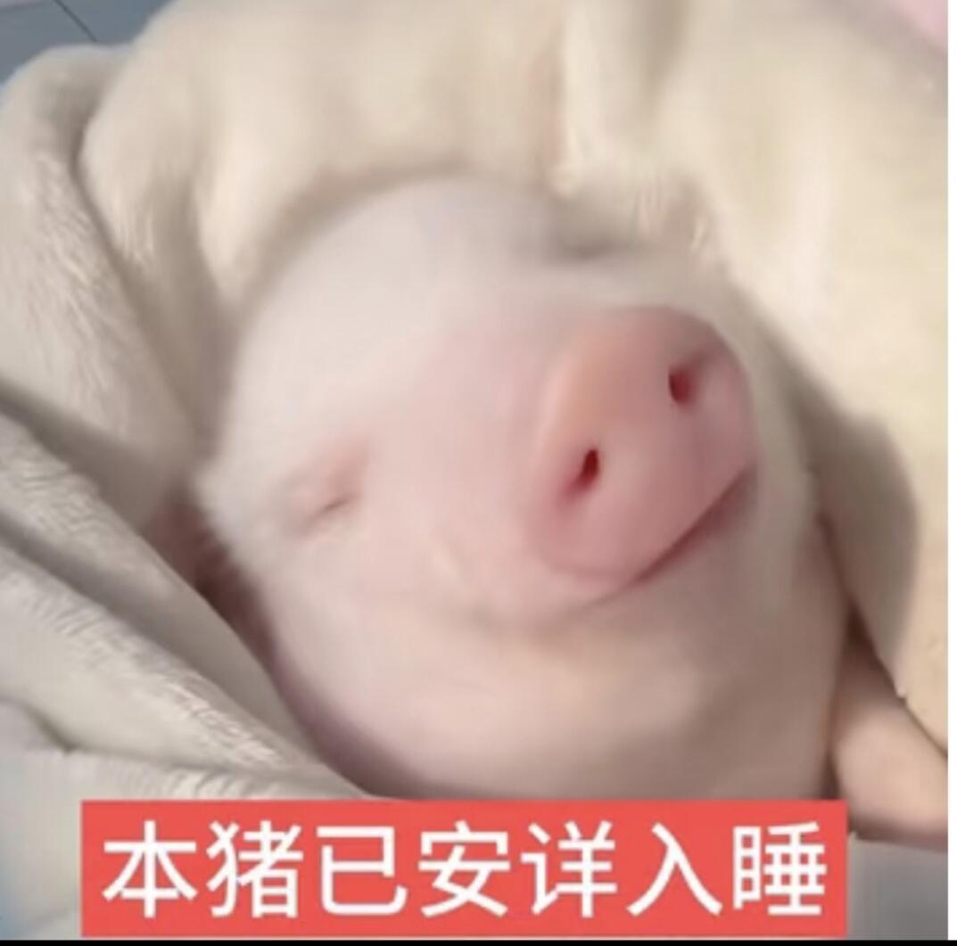 0000 ​​​