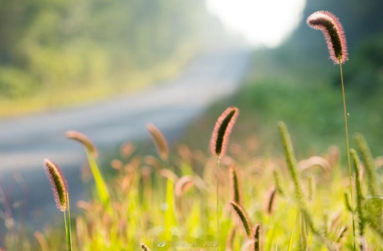 You do you I do me人生自古多歧路，君向潇湘我向秦。 