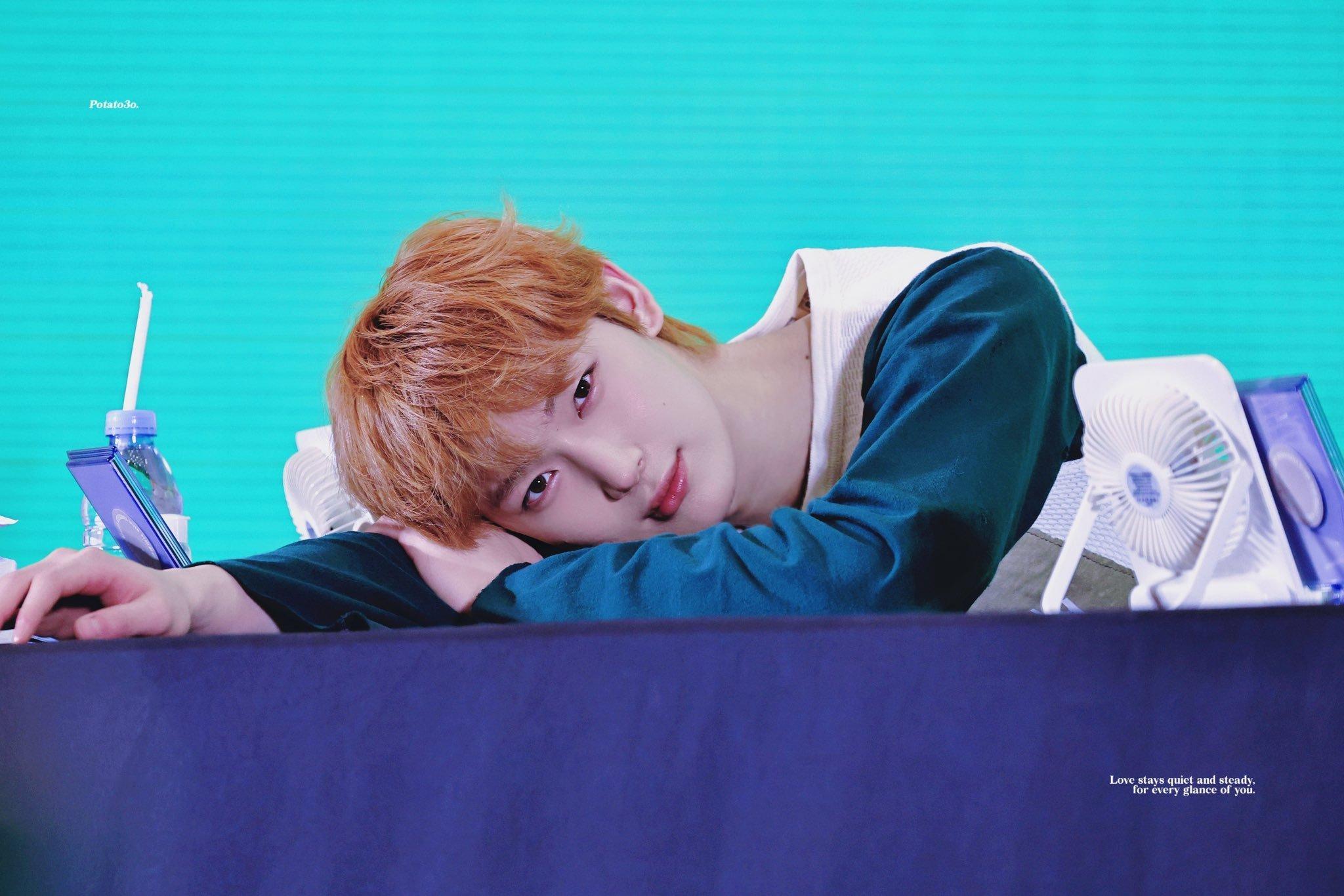 小狐狸直勾勾的盯着♡cr.potatovo_624 ​​​