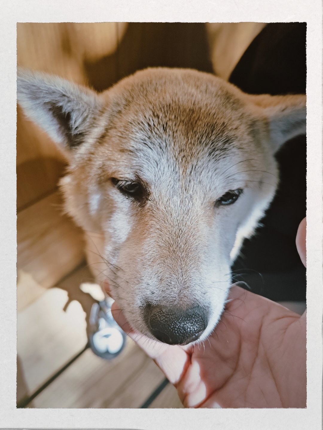 李诞首度自爆为什么不要孩子很早在小红书就看过关于他回答这个问题的视频，之前真没看