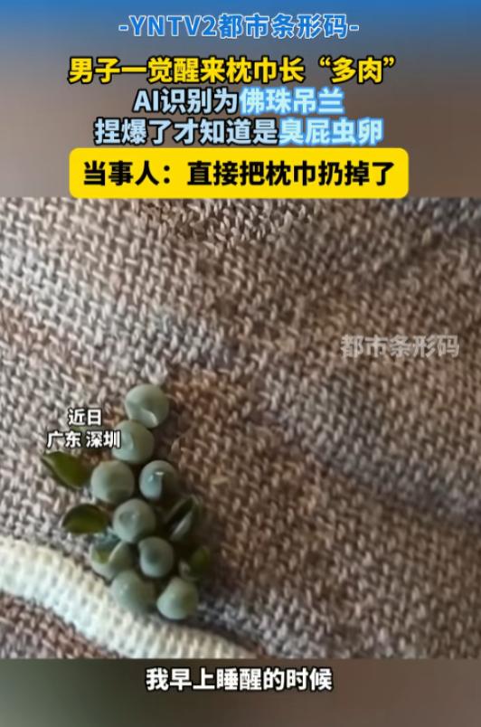 “又上了AI的当！”7月1日报道，广东深圳，一男子早上醒来，发现枕巾上有一串深绿