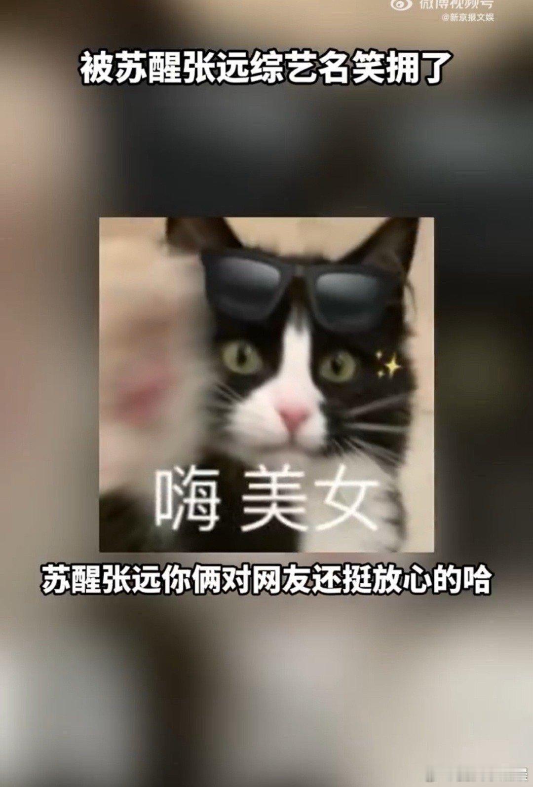 #网友给苏醒新综艺起名好city#这名字起了真的一个比一个搞笑啊，实在是太有梗了