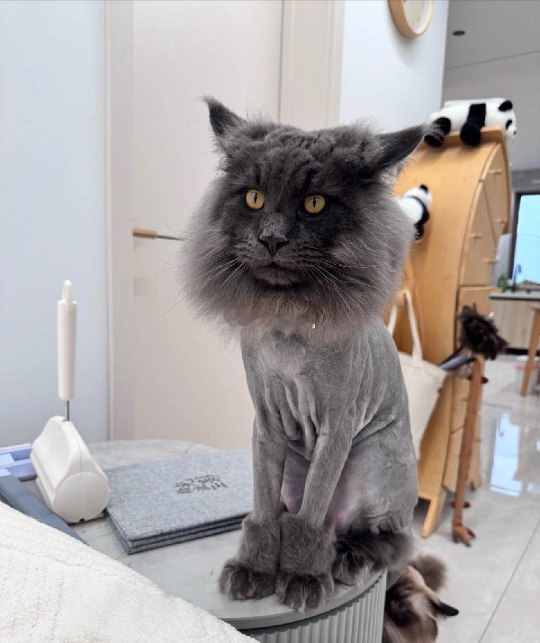 我要是猜的不错的话，这会酒店应该是差不多被订满了可怜了今天要出差的人 