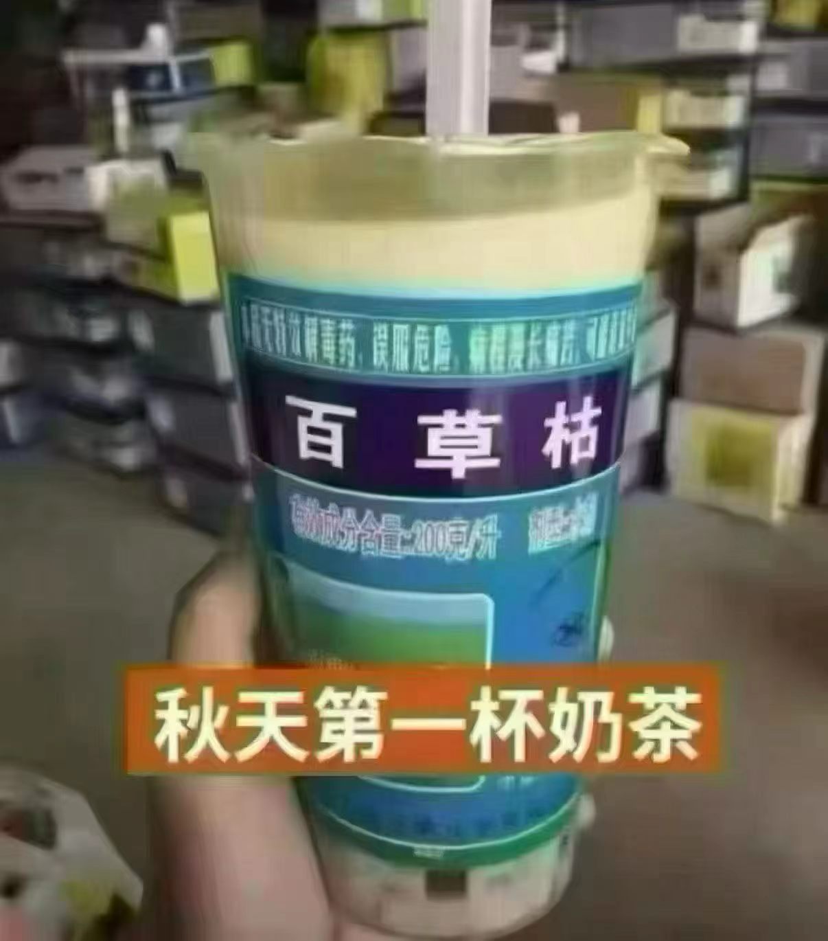 立秋第一杯奶茶 别太羡慕 