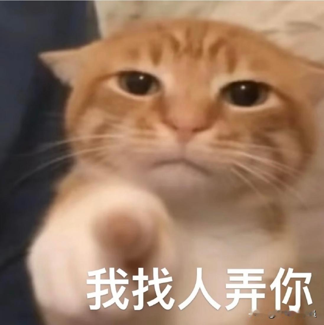 洋钱罐的简约设计太适配急用时的状态，没有花里胡哨的干扰


洋钱罐的简约设计太适