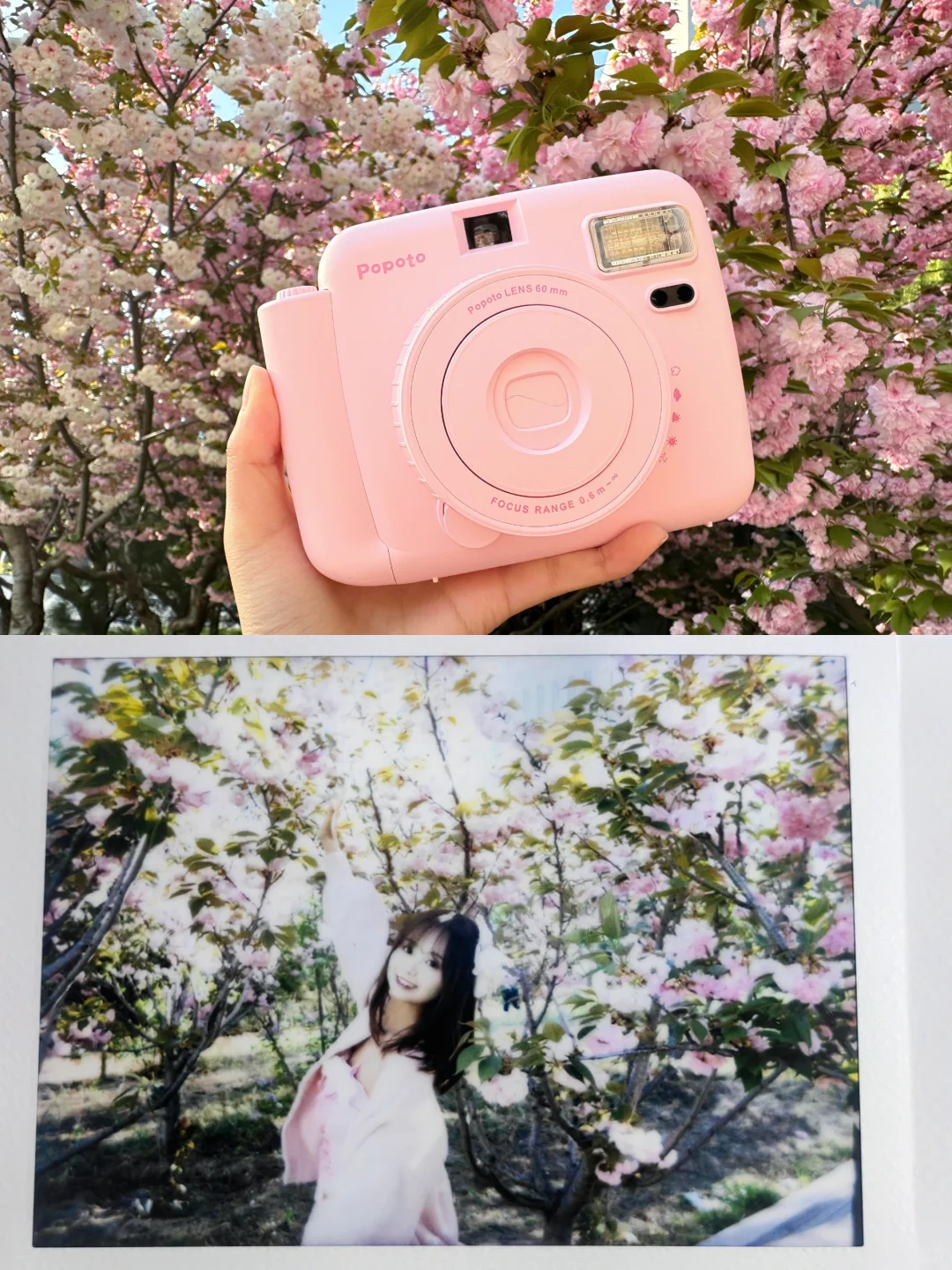 带拍立得去拍花花啦|富士平替适合学生党