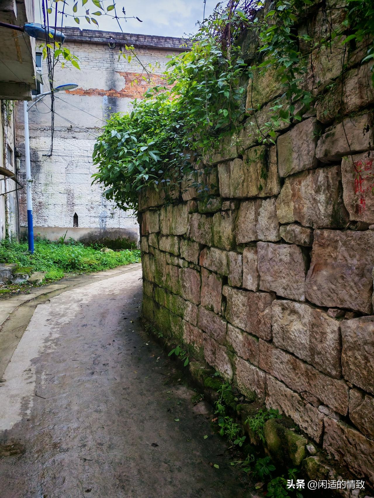 今年避暑在安顺:安顺郊区的农村是这样的

今天淅淅沥沥地下了一天的雨。但空气清新
