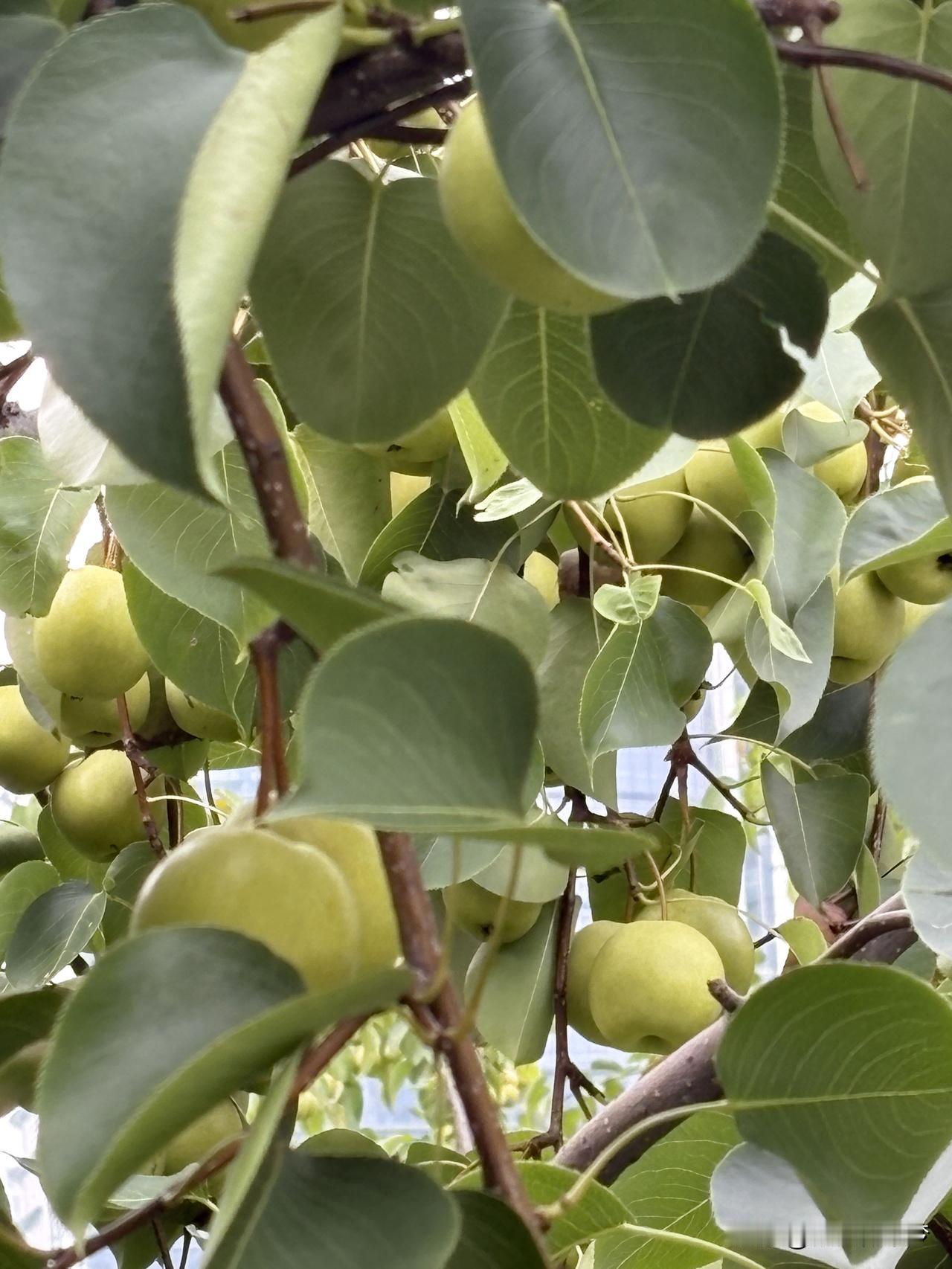 夏日生活打卡季靠自己本事得到的东西，才会永远属于自己，别人给的终会带着利息。