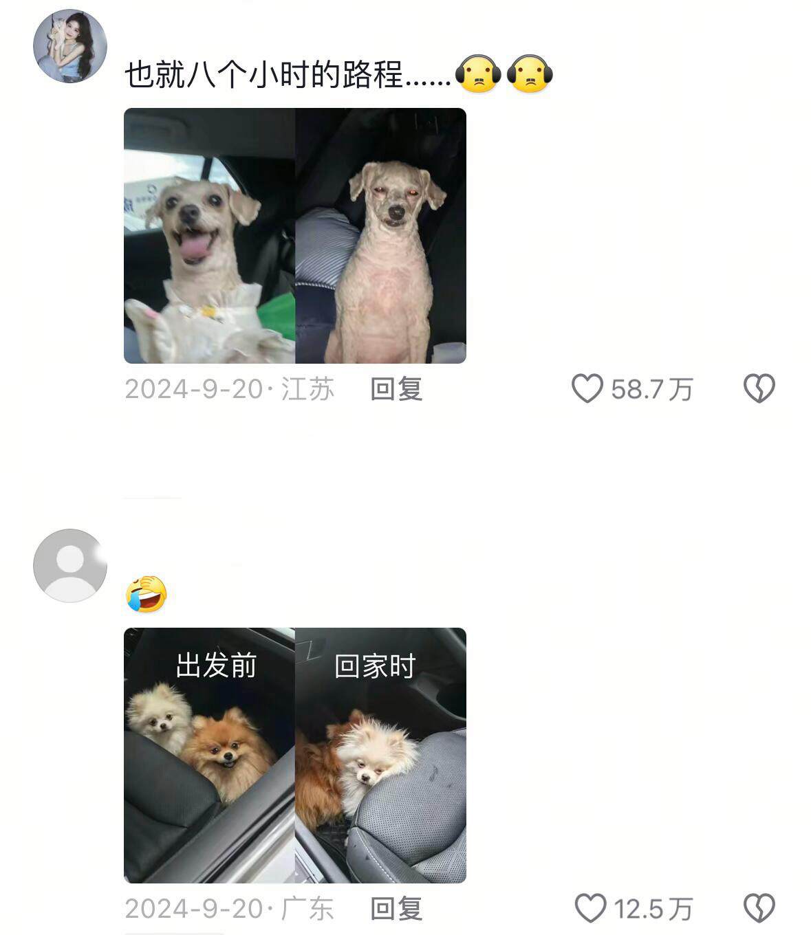 果然什么物种都受不了舟车劳顿 ​​​