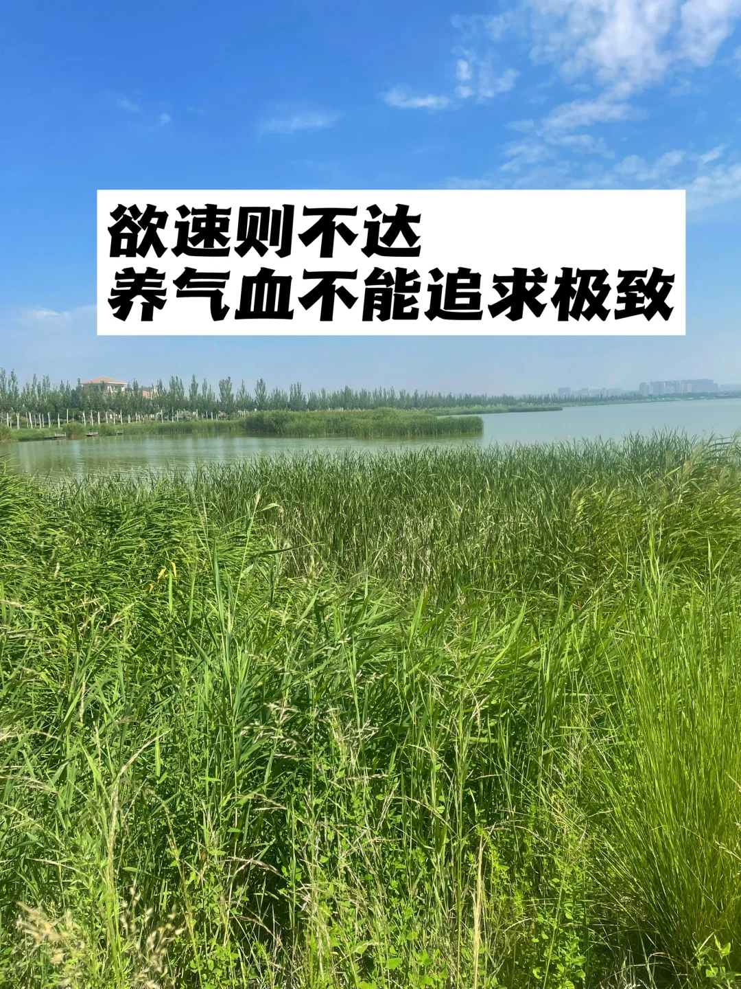 欲速则不达，养气血不能追求极致.