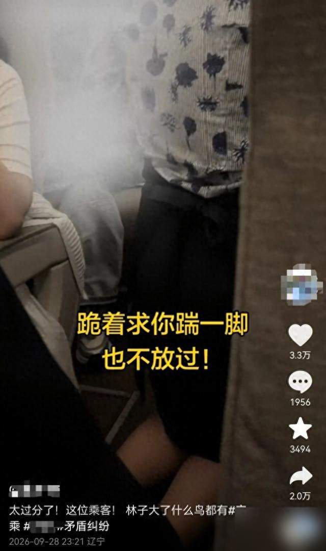 餐车上的人把别人的胳膊空姐给跪在地上求着踹一通屁股来着。