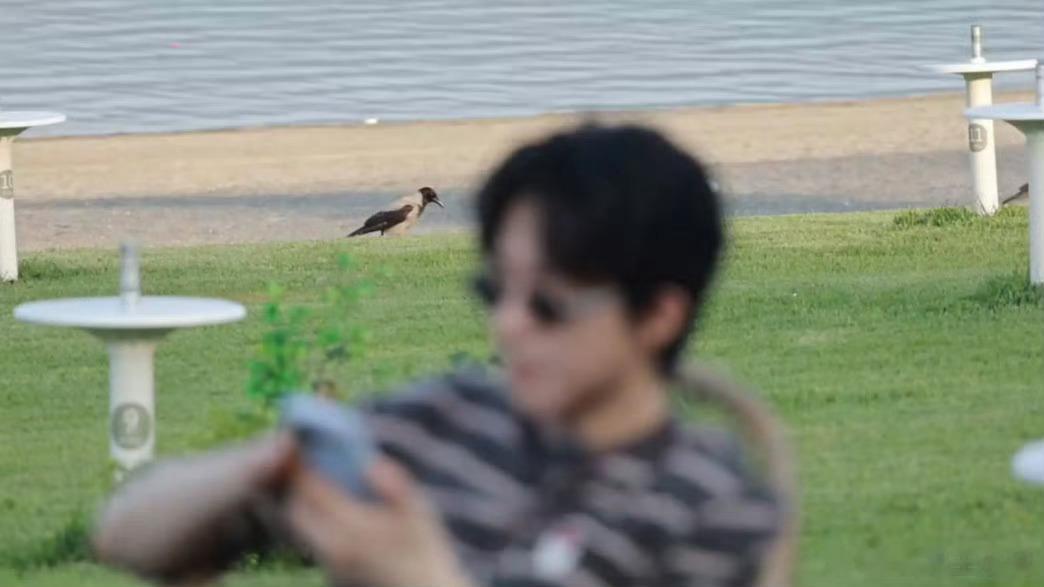 刘宇宁工作室用的尼康吗尼康：我招谁惹谁了？[允悲] ​​​