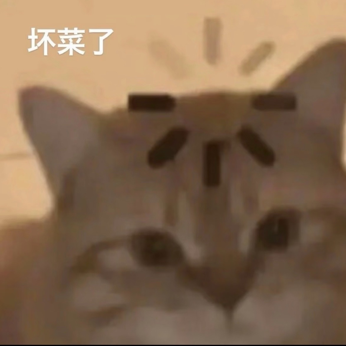 三伏天感冒了带薪养病，没看到这个之前我以前的病假真是乱请在该难受的地方难受，就没