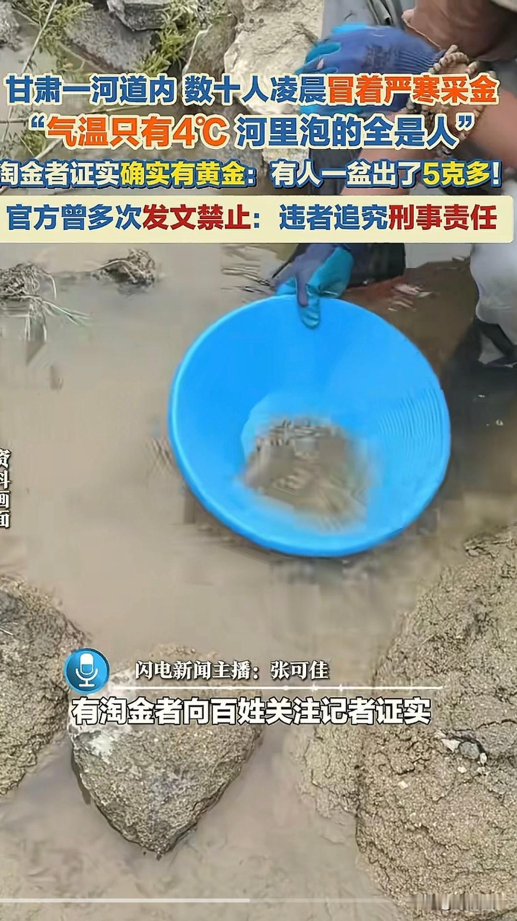 “明知故犯。”因金价上涨带火淘金河道，甘肃陇南一河道边惊现众多市民下河淘金，他们