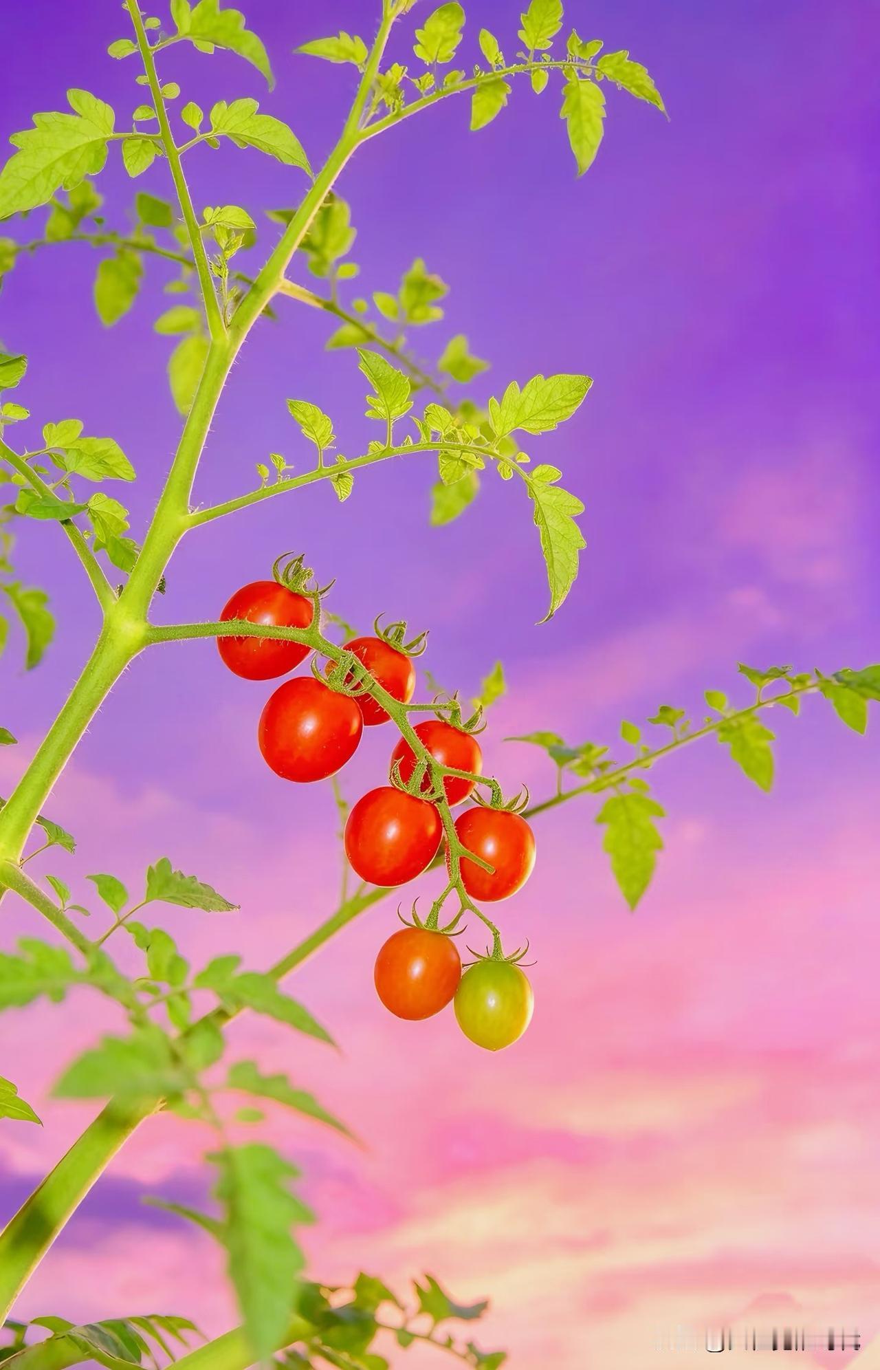 人老了，
要学会自己跟自己玩！

年轻时
喜欢热闹
人多的地方往哪钻
朋友聚会