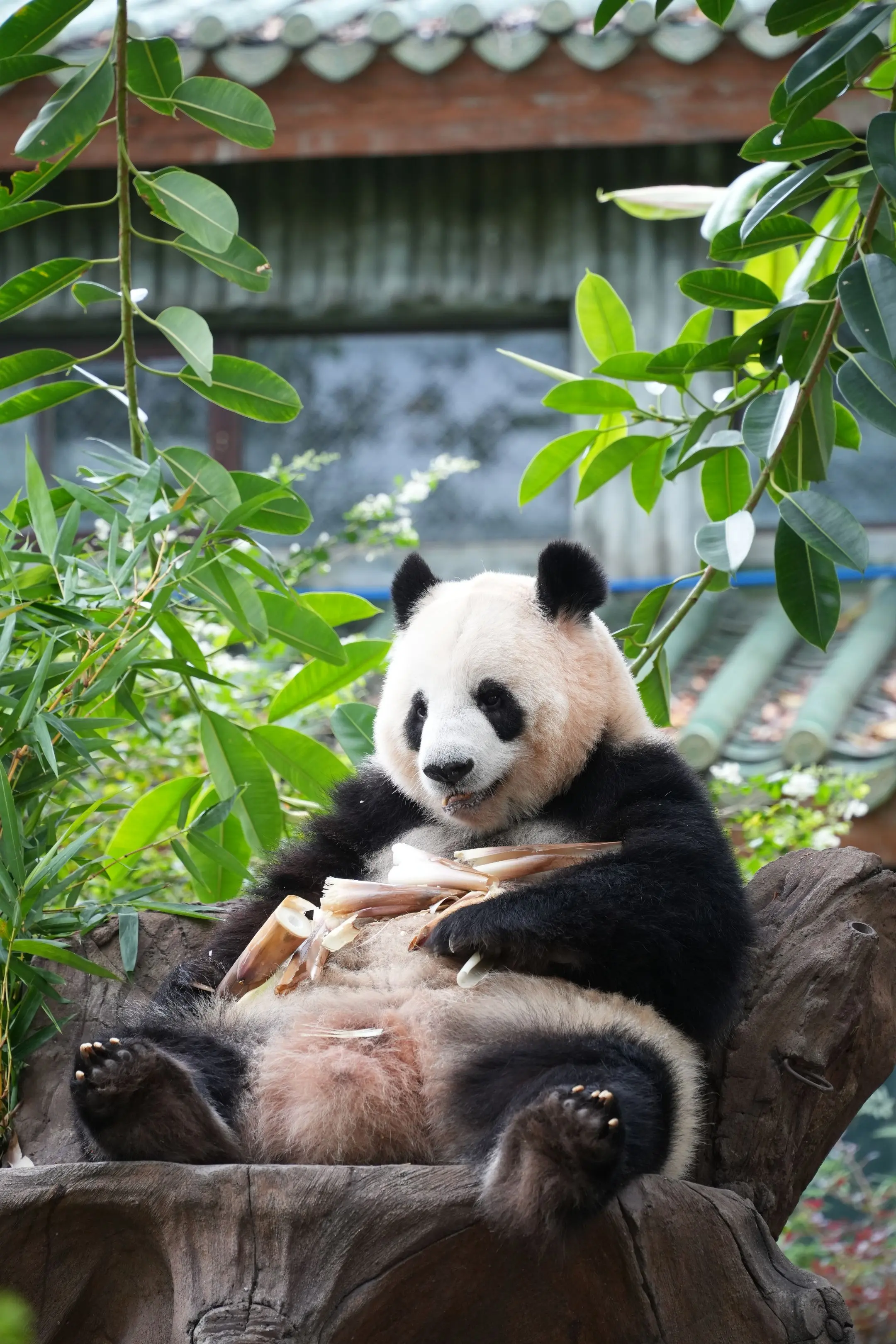 那个叫雅一的可爱女孩。